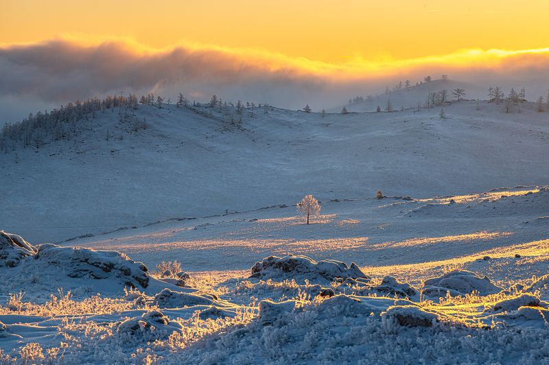 зима,снег,рассвет, туман, тажеранская степь Утро в Тажеранской степи фото превью