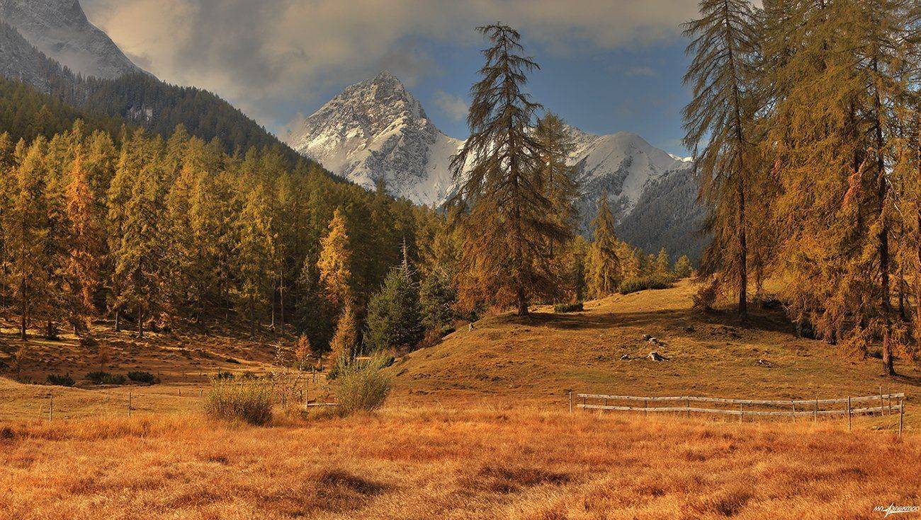 swiss, Матвеев Николай
