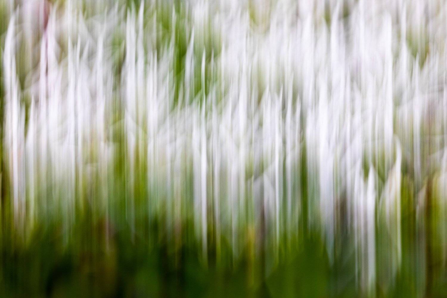 арт, тундра, трава, россия, природа россии, конмадорские острова , Евгения Кирпиченкова (Клипп)