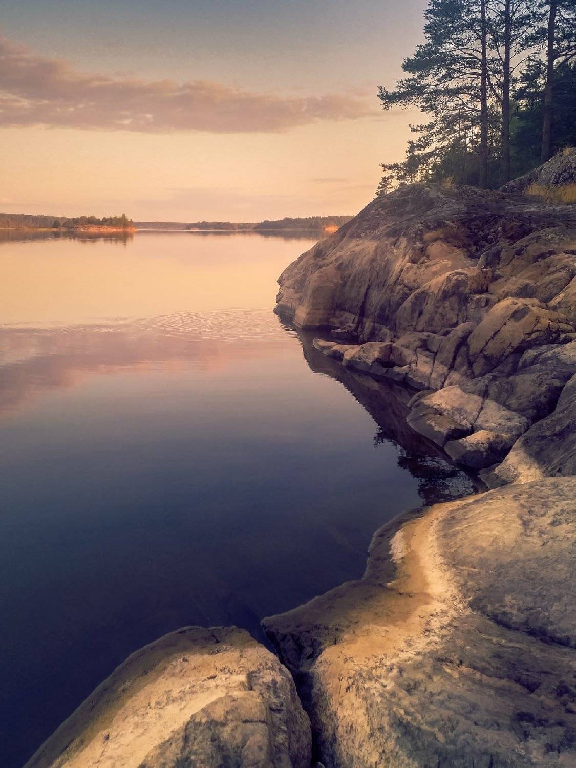 , Светлана Морозова