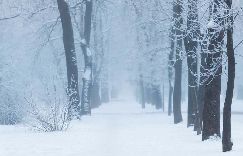 питер, пушкин, царское, царскоесело, зима Холодно фото превью