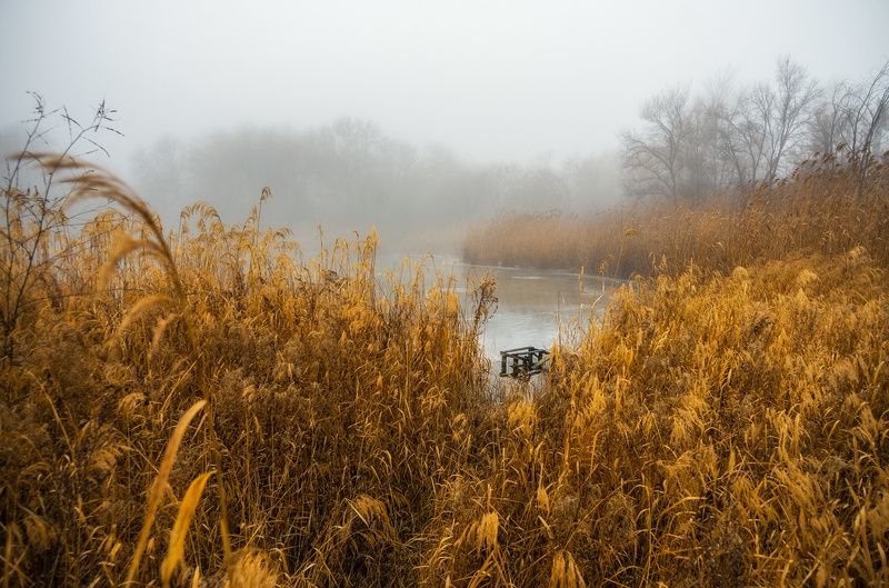 Лишь шёпот тростника... фото превью