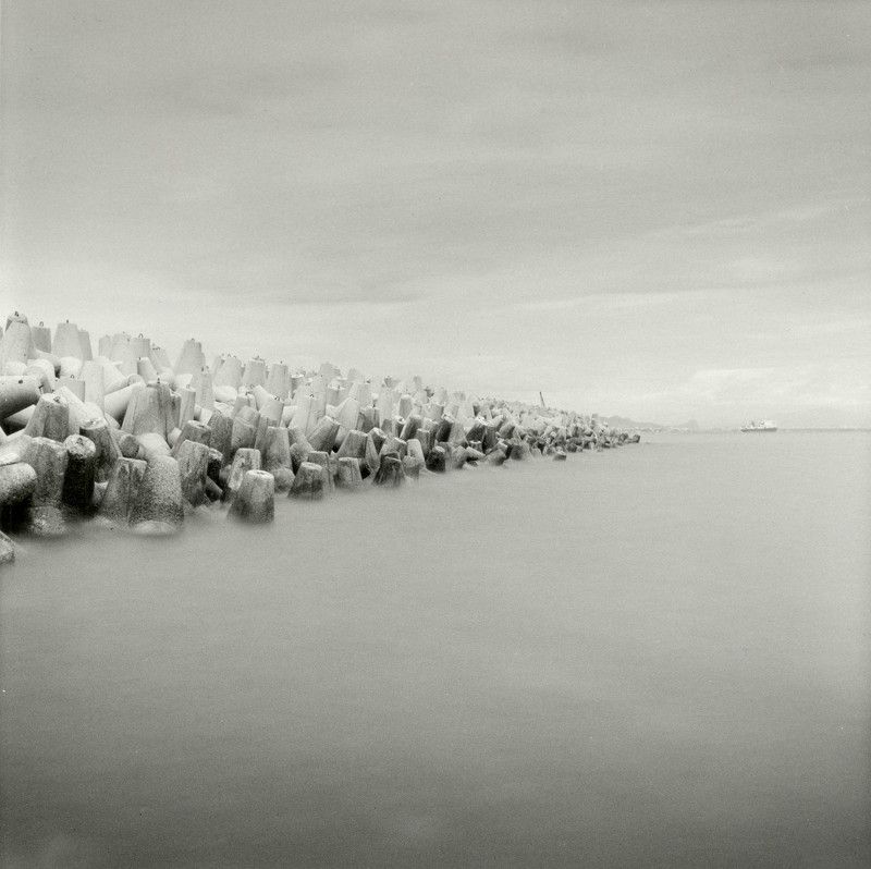 filmphotography, analogphotography, darkroomphotography, silvergelatineprint, b&w, blackandwhite Silent guard фото превью