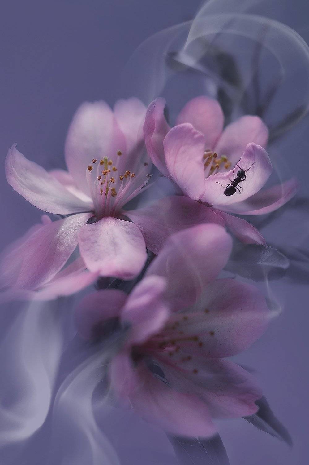 , Воинкова Ирина