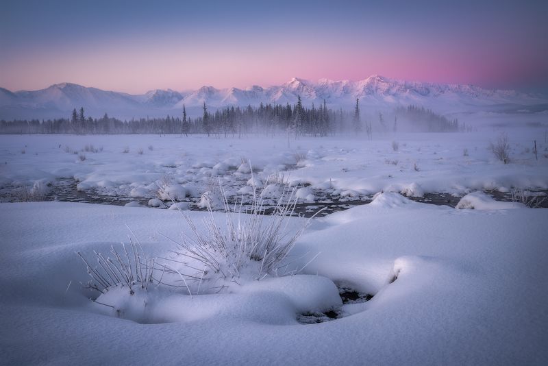 алиай, горный алтай, кош-агачский район, курайская степь, рассвет, северо-чуйский хребет, зимний алтай, снег, мороз, февраль, еловый лес, горный хребет, пояс венеры Курайские зори фото превью