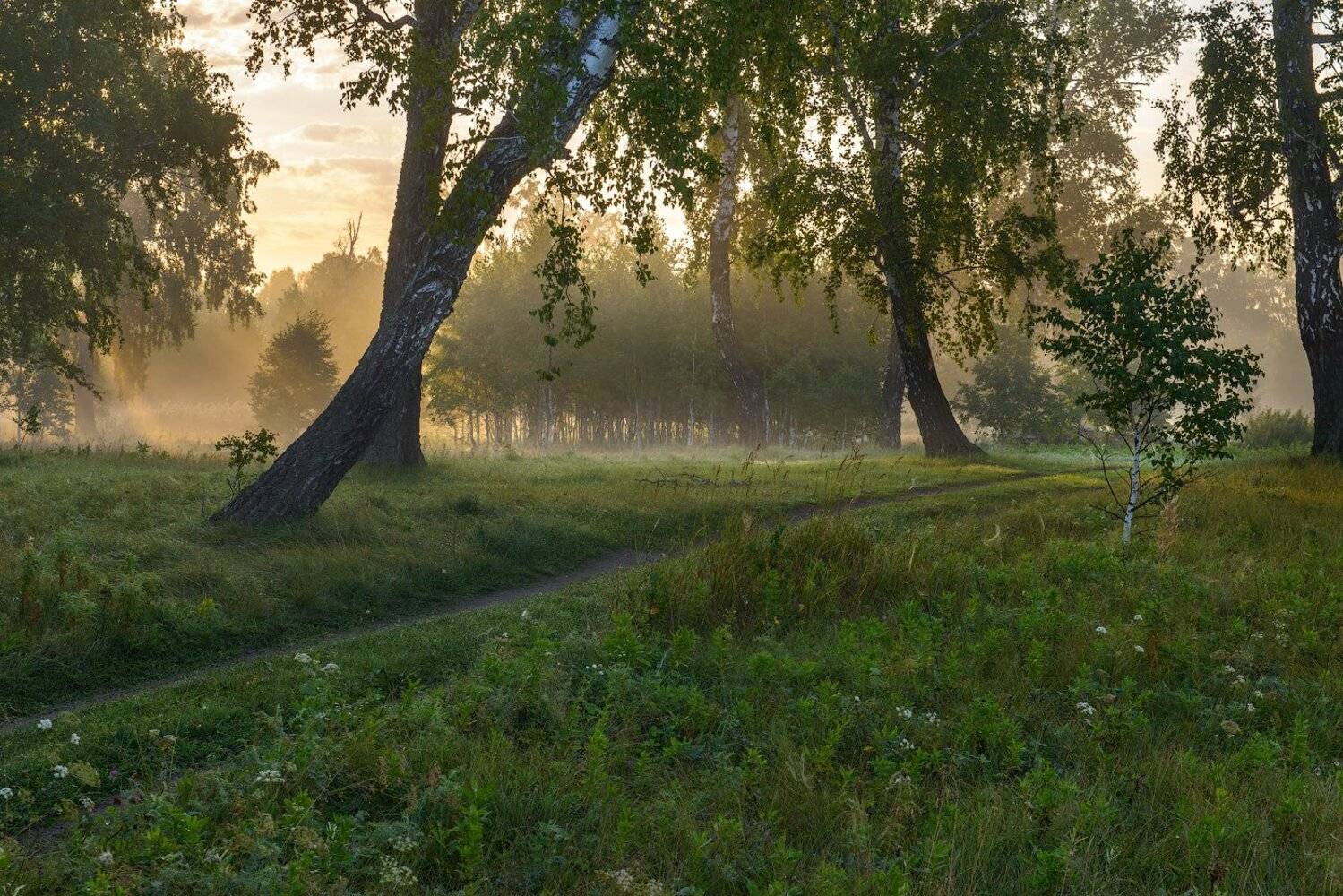 Зауралье, Шадринск, Кутыгин Эдуард