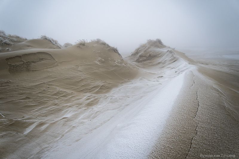 Зима в дюнах фото превью