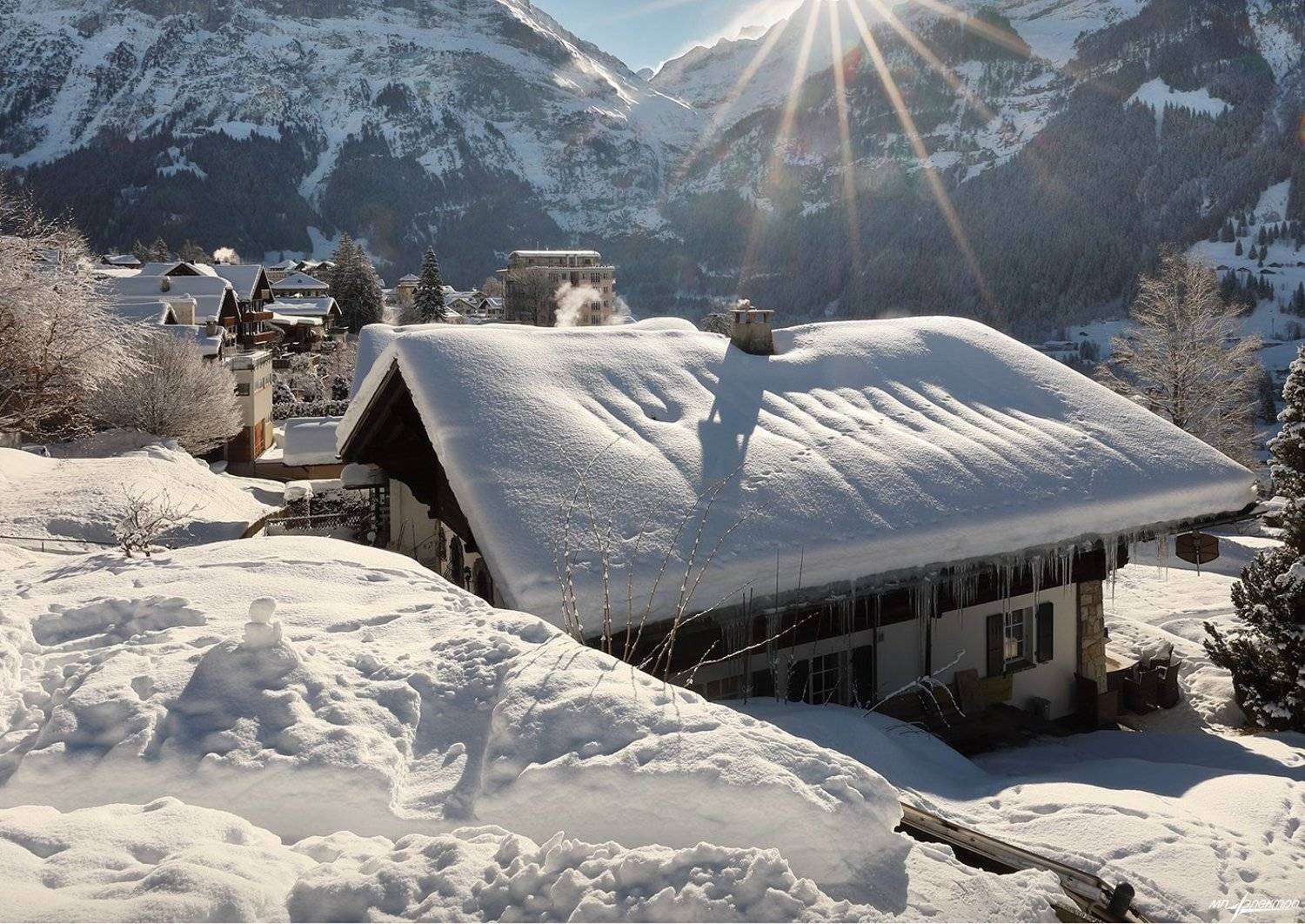 swiss, Матвеев Николай