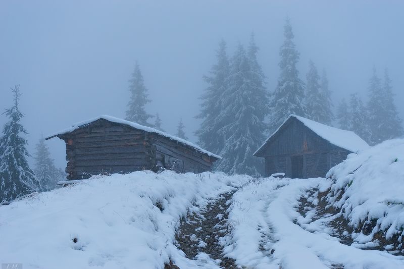 В ледяном тумане .. фото превью