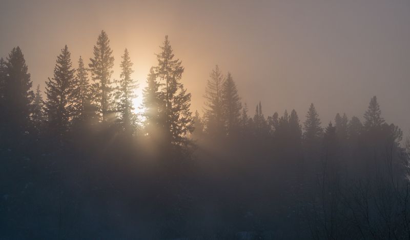 Морозное утро фото превью