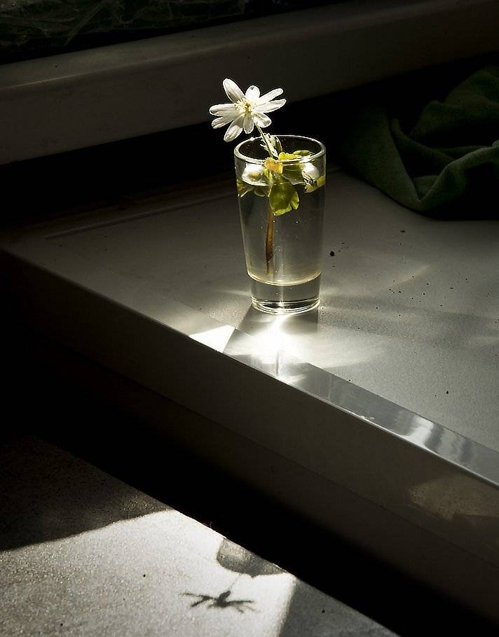 , Александр  Швачко