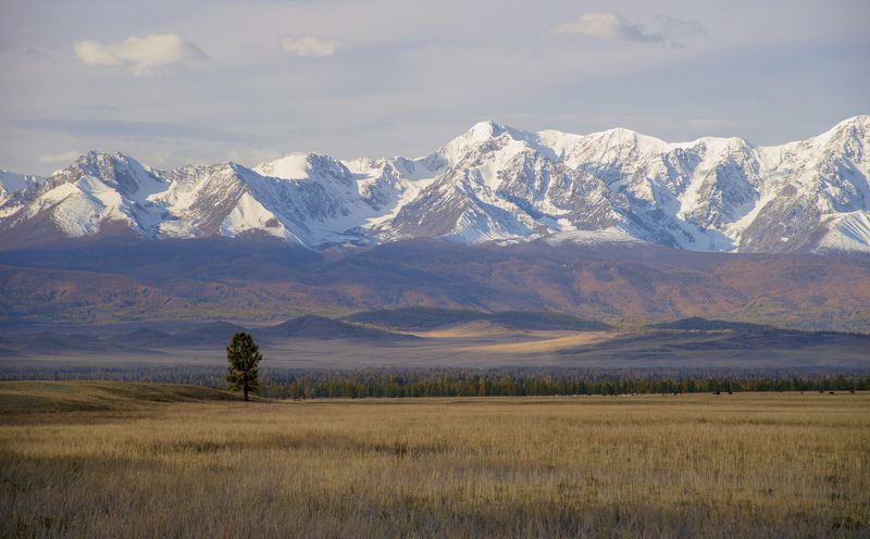 Курайская степь фото превью