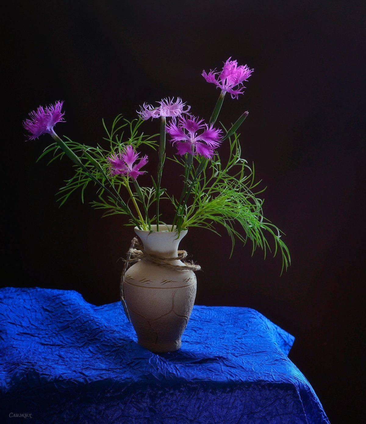 натюрморт,композиция,свет,лето,букет, Инаида