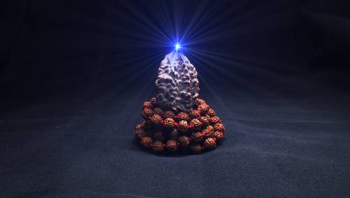 rudraksha