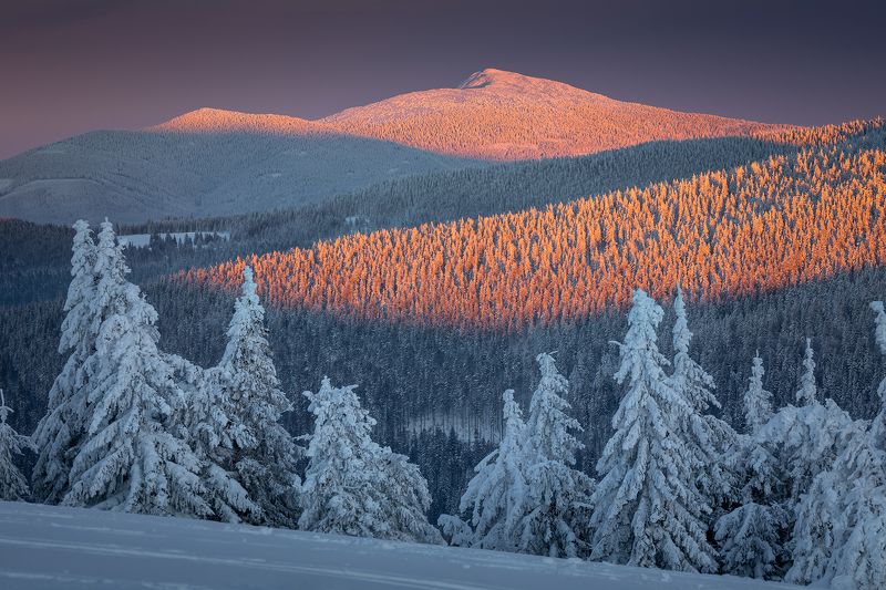 mountains, winter, poland, slovakia In the Sunset Light фото превью