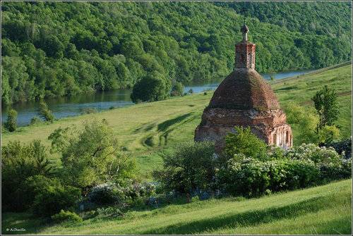 Сирень цветет