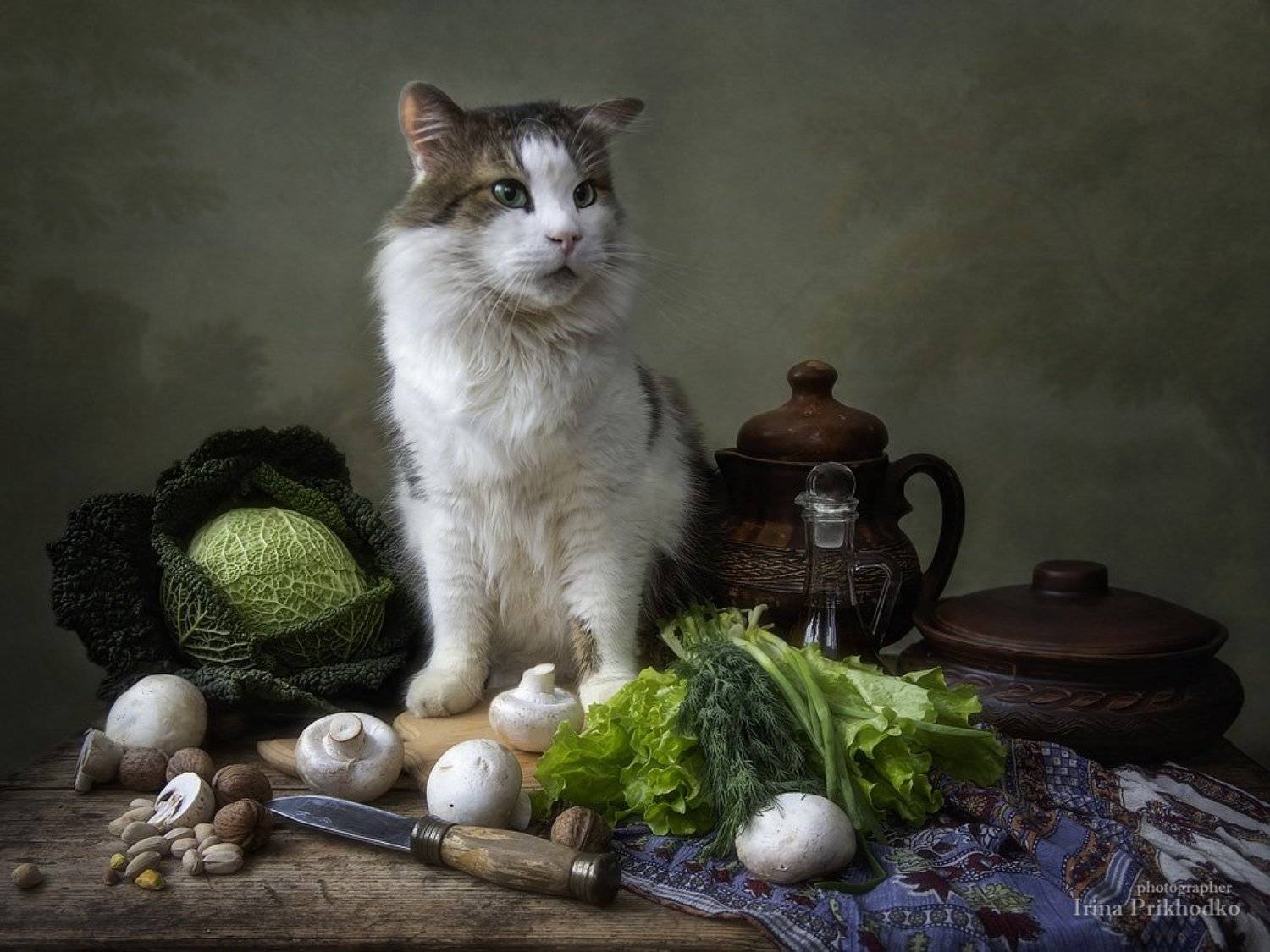 натюрморт, котонатюрморт, домашние животные, кошки, постановочная фотография, художественное фото, кот Лёва, овощи, Ирина Приходько