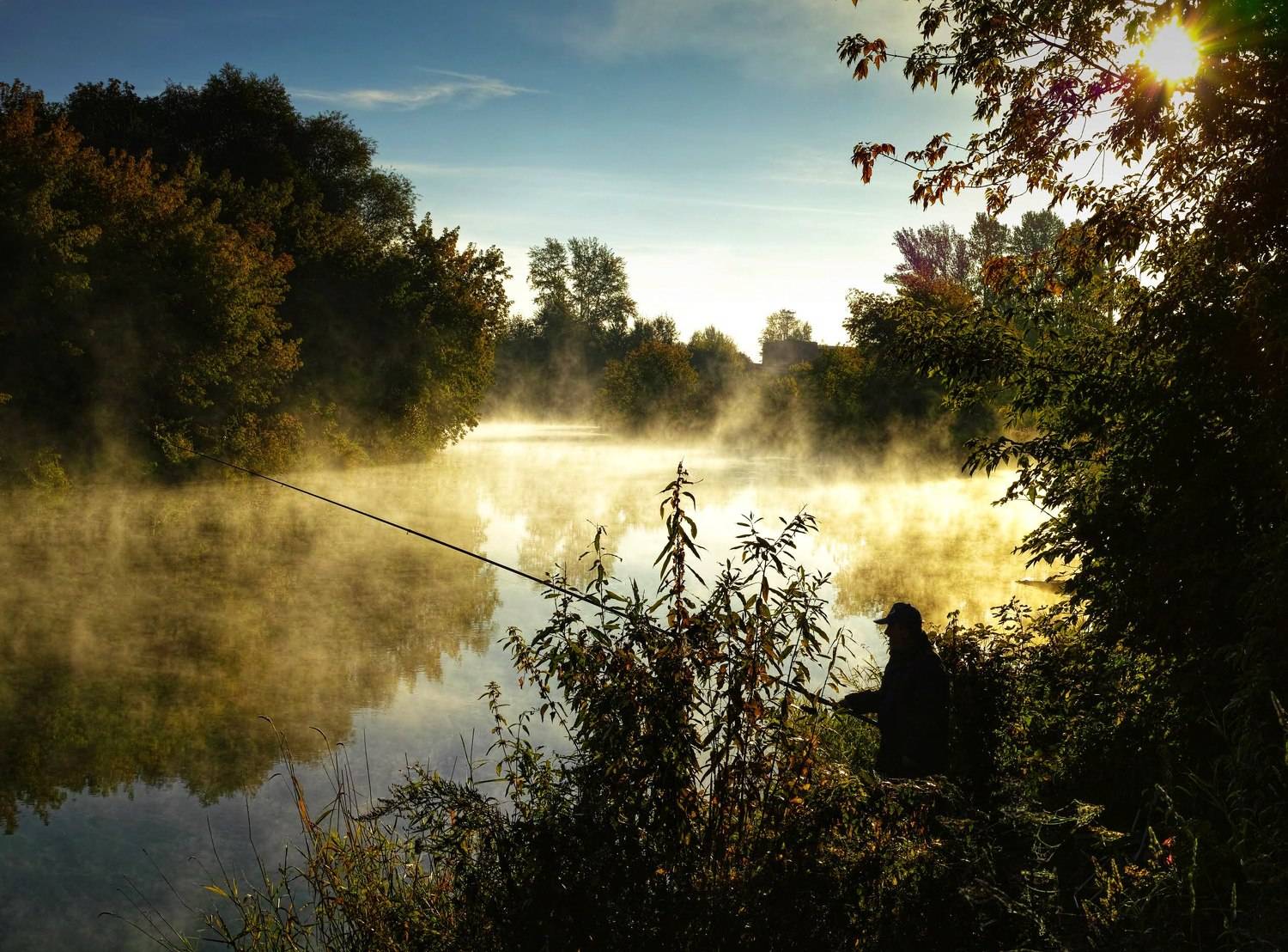 , Лариса Лофицкая