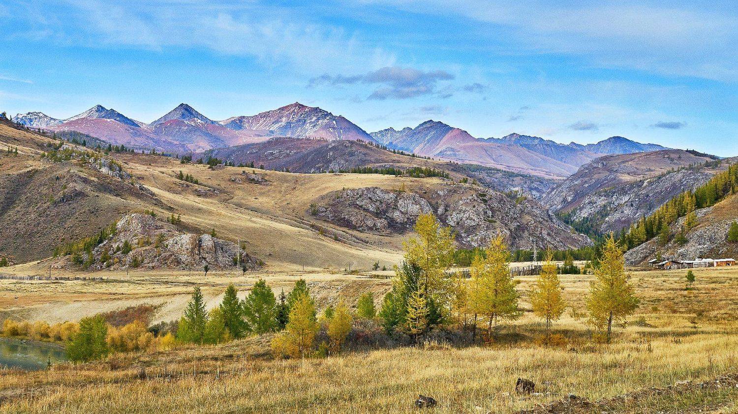 пейзаж,горы, деревья, Горный Алтай. , Александр Потапов