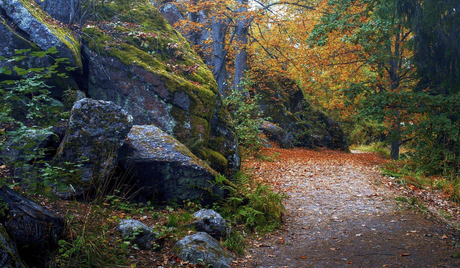 пейзаж,осень,природа,парк,камни,валуны,листья, Тамара