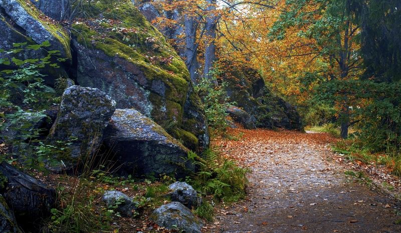 пейзаж,осень,природа,парк,камни,валуны,листья Осень в парке Монрепо фото превью