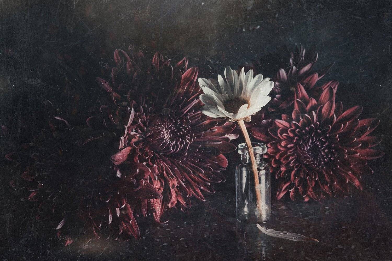 , MVO (Марк Орлов)