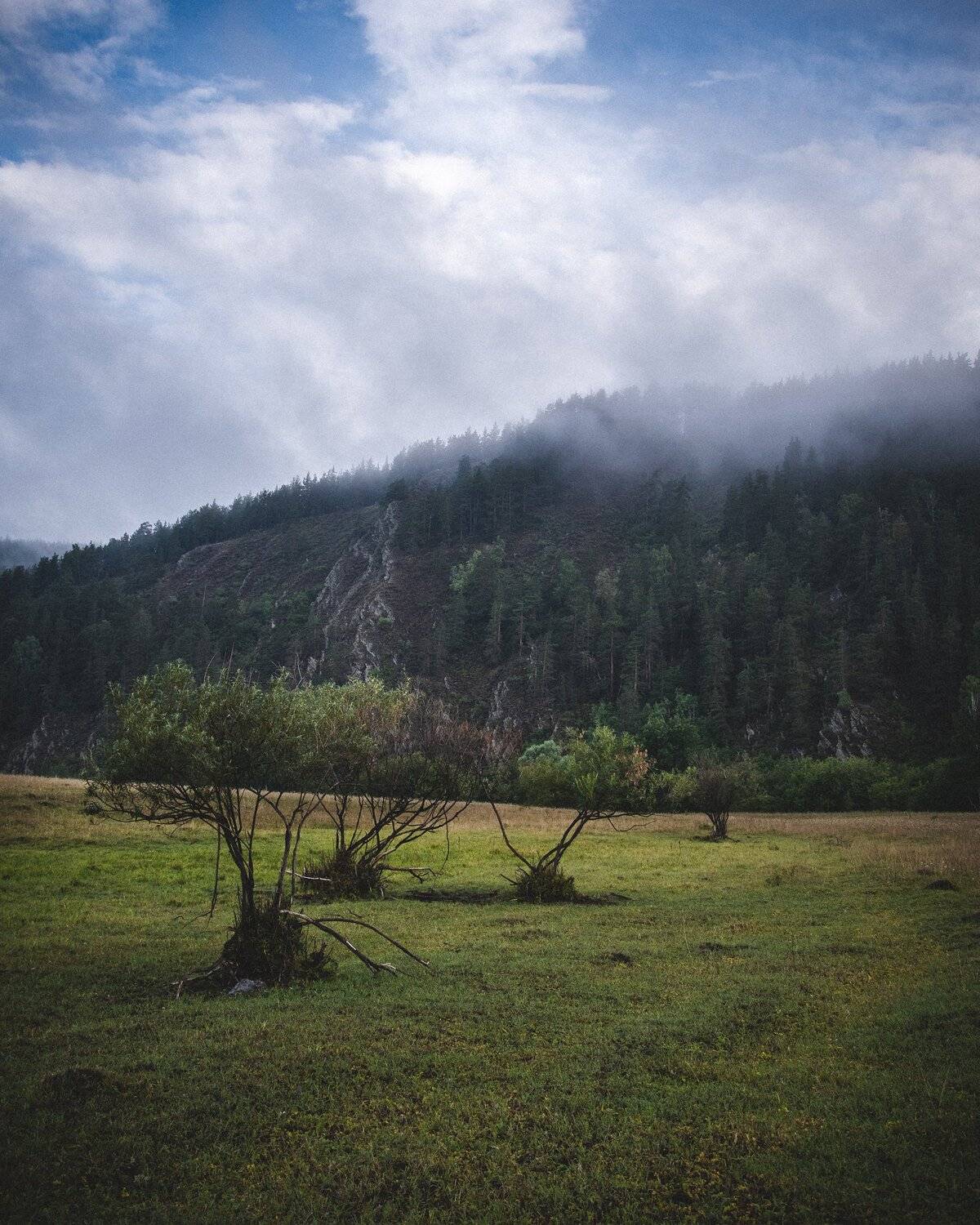 , Денис Храмеев