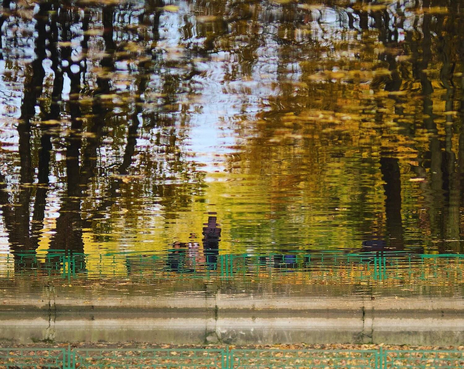 , Дмитрий Емельянов