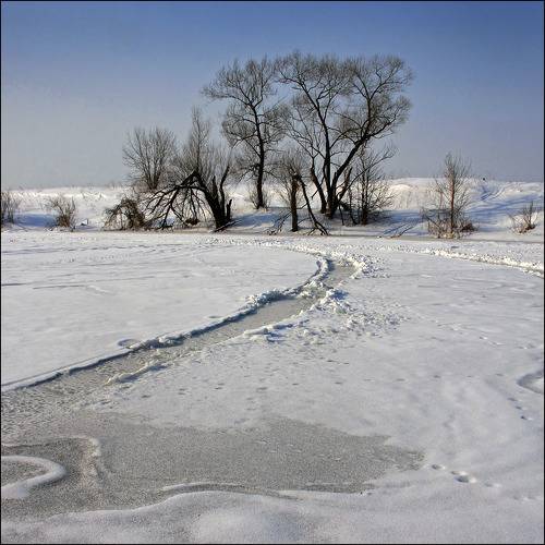 Берега....