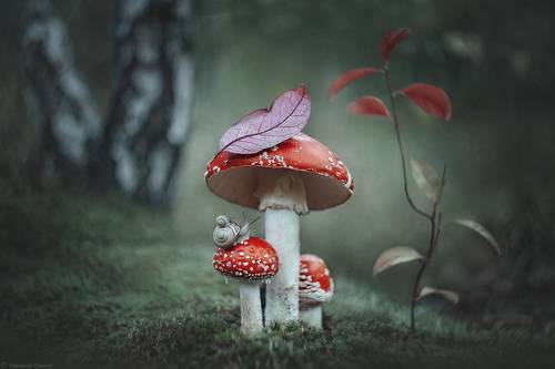 Везде хорошо, если я с тобой...