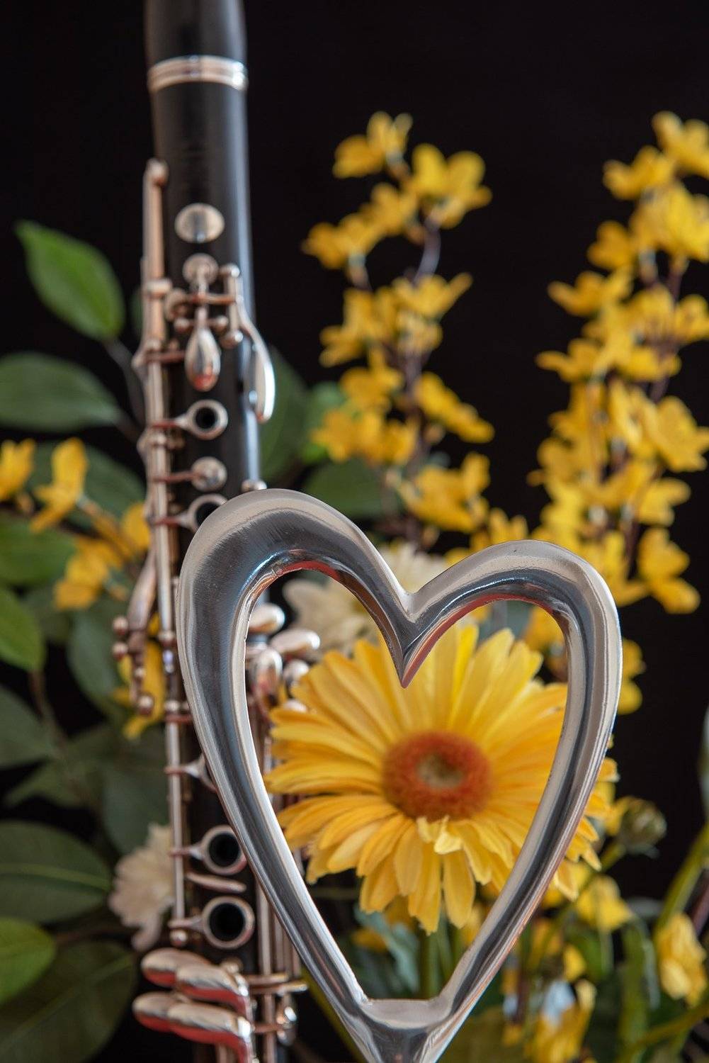 clarinet; lovely; yellow;valentine\'s;, Sib&eacute;