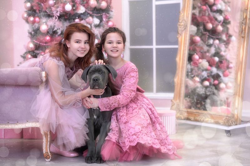 фото превью