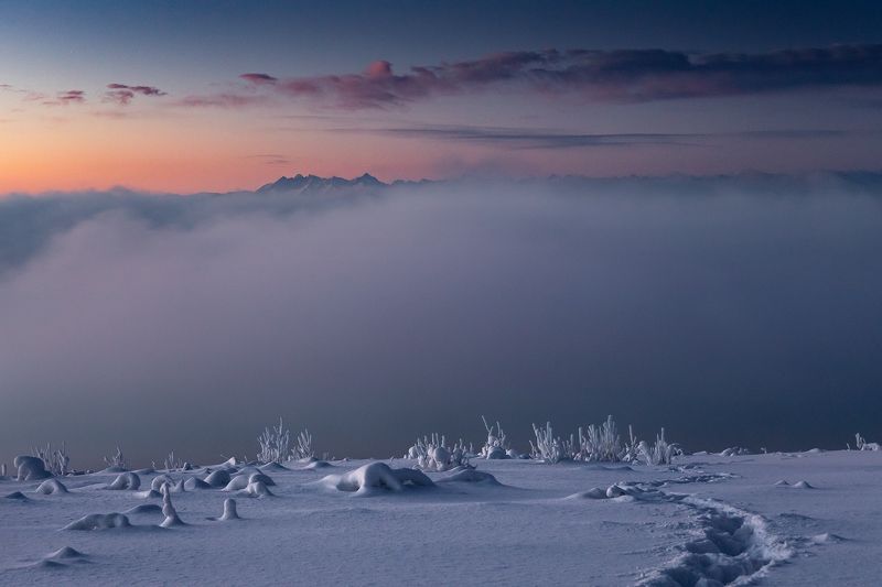 mountains, winter, poland, slovakia, morning Morning in the Mountains фото превью