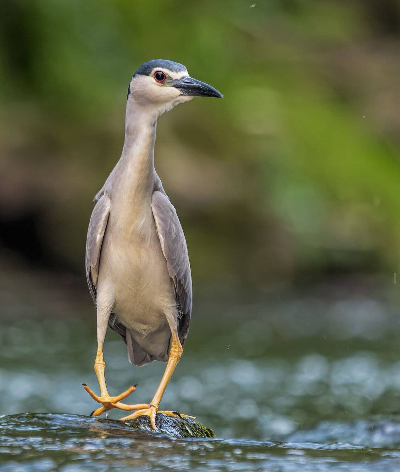 , Sławek Przybylski
