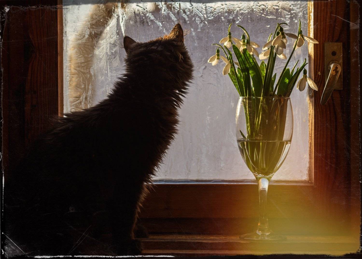 ,  Светослав Радков