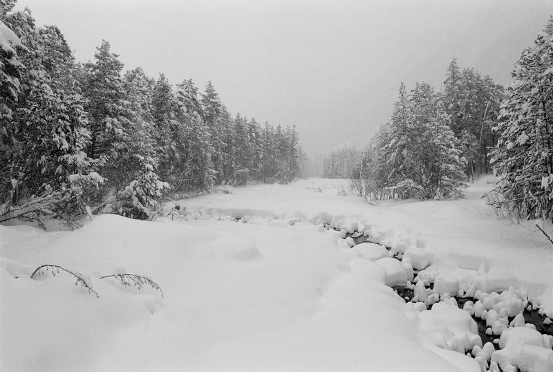 Зимний сон фото превью
