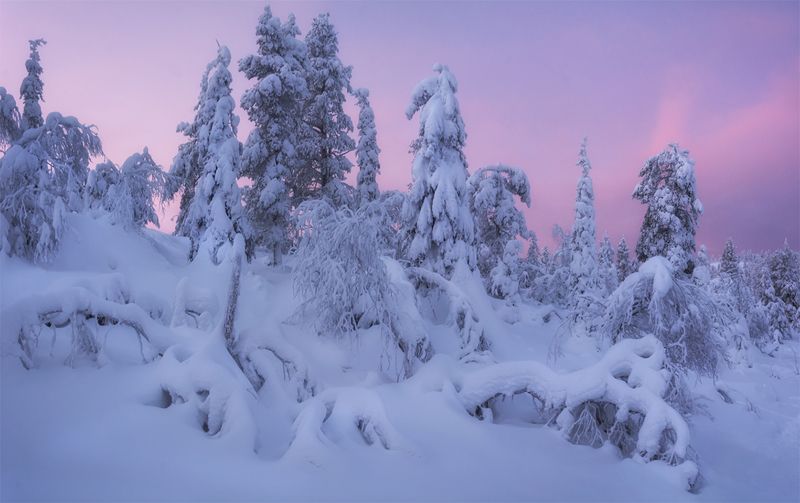 природа, пейзаж, север, кольский, панорама, природа россии, дикая природа, закат, свет, облака, вечер, тундра * фото превью