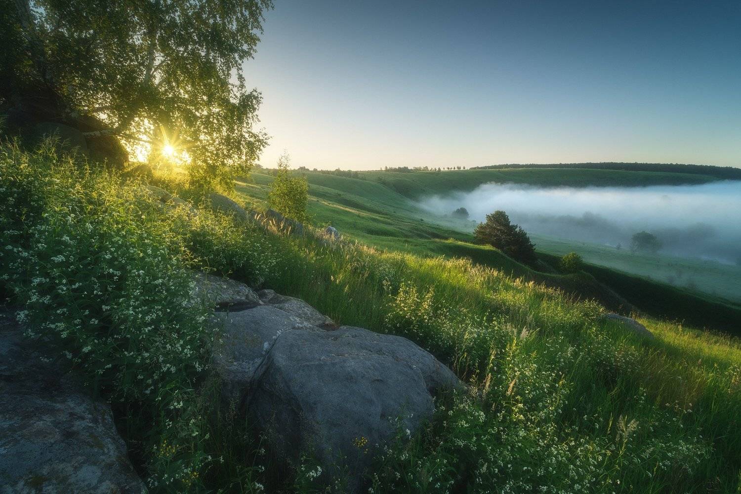 россия, тульская область, ефремов, красивая меча, река, лето, природа, пейзаж, рассвет, туман, солнце, луг, Оборотов Алексей