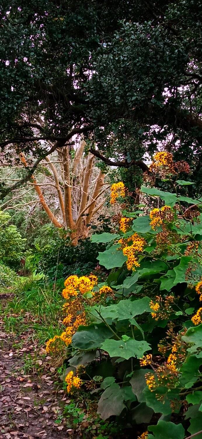 Street/Reportage, Carlos Machado