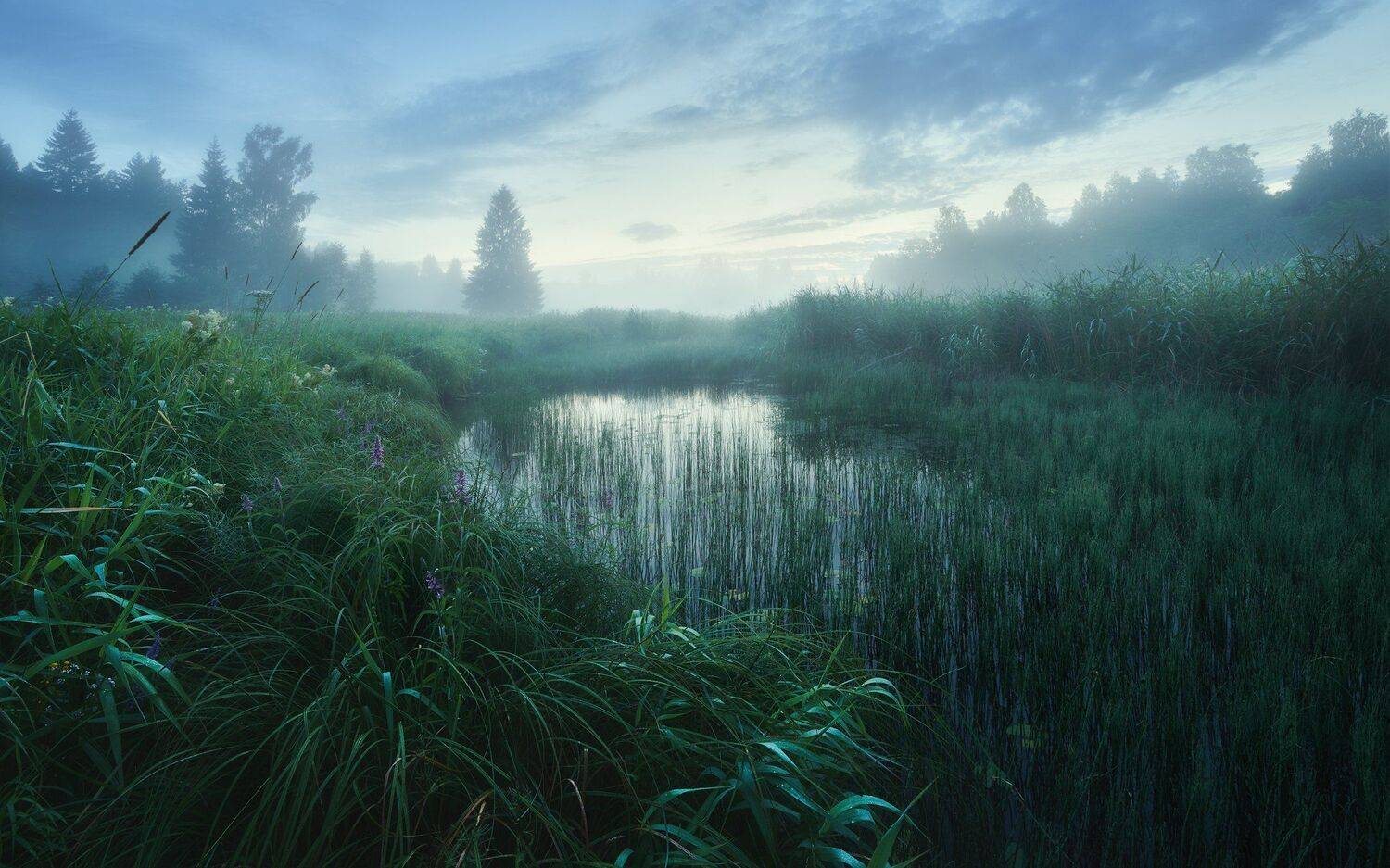 , Антон Кононов