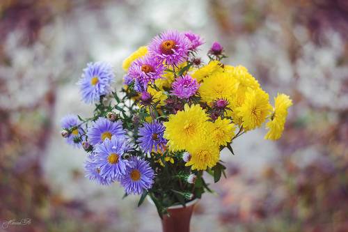 Яркой осени букет