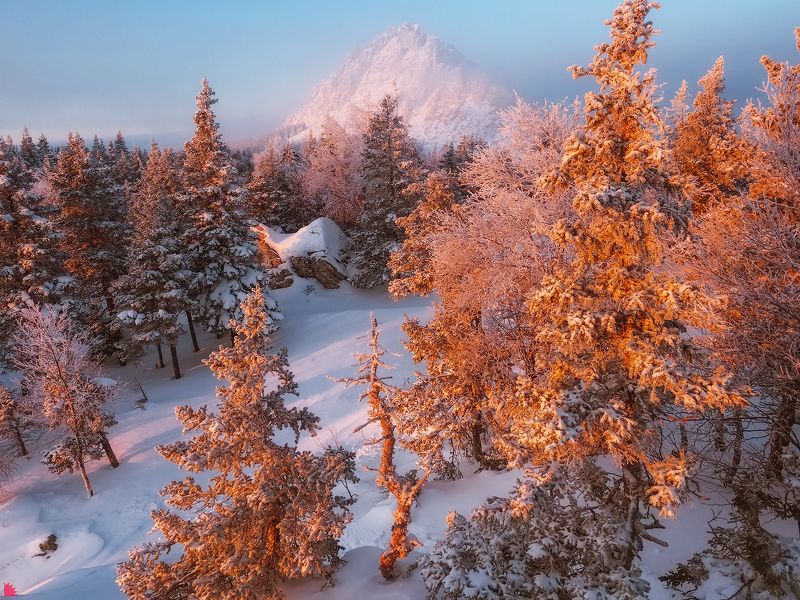 Призрак фото превью
