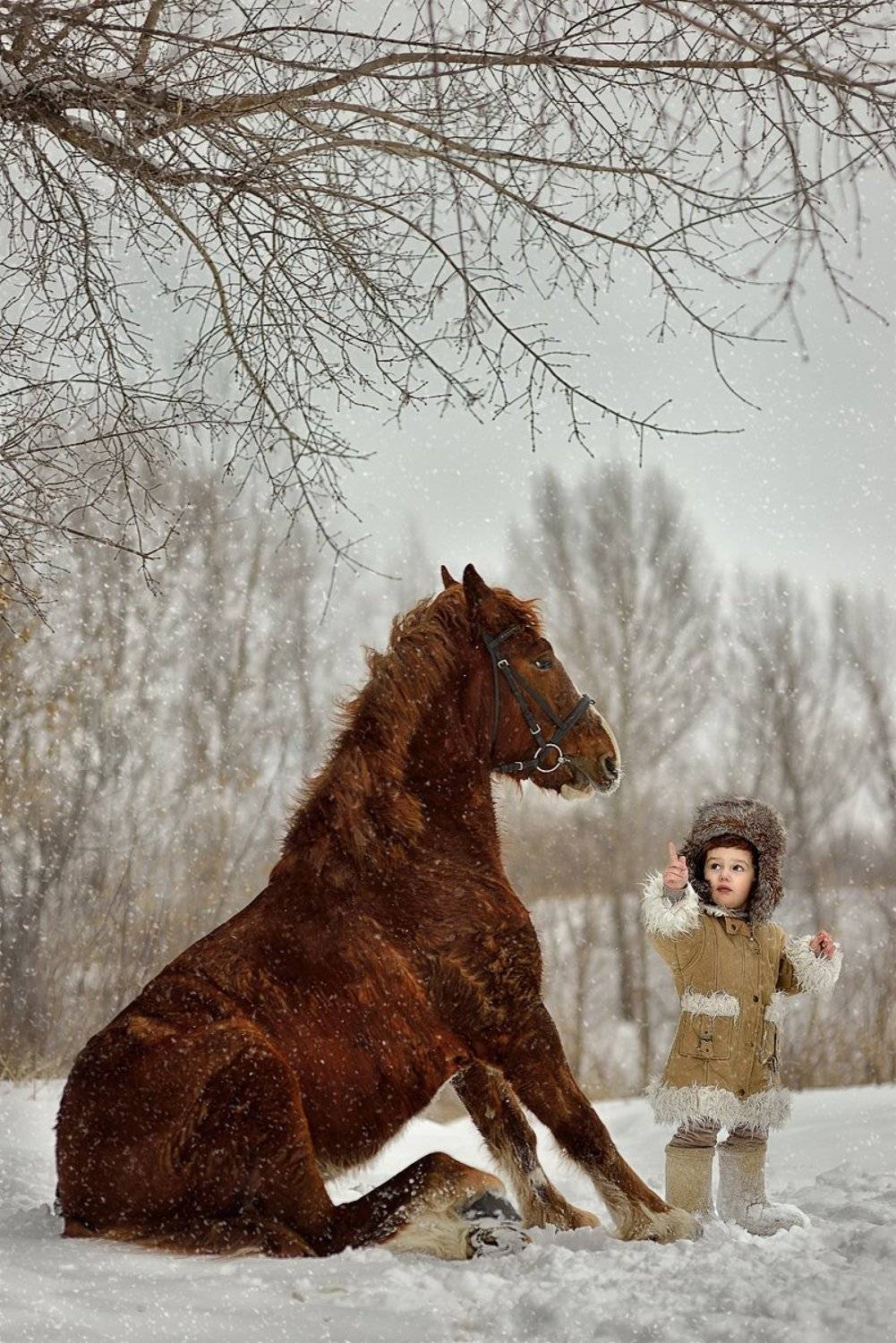 , Раевская Елена