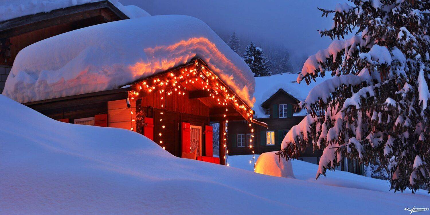 swiss, Матвеев Николай