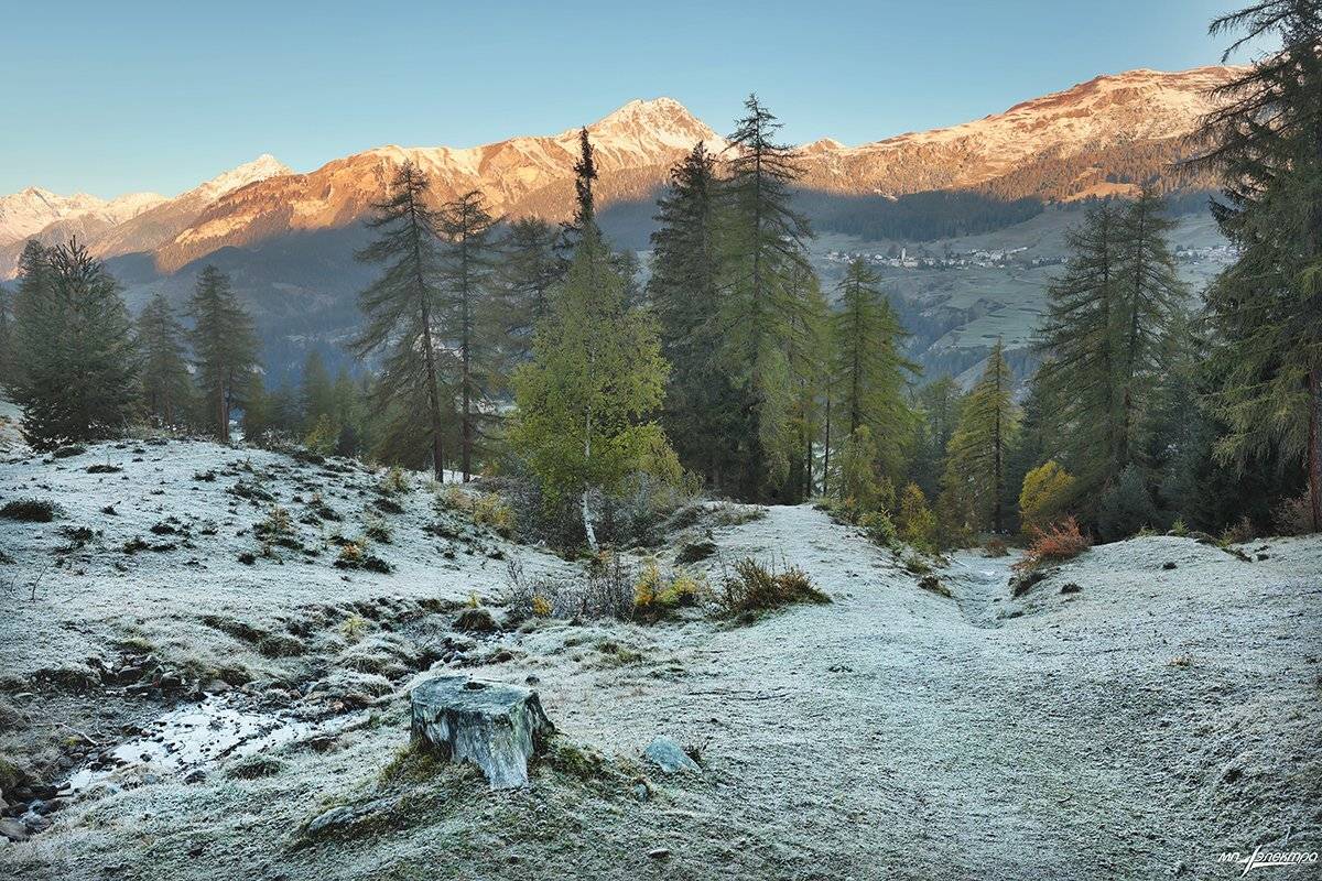 swiss, Матвеев Николай