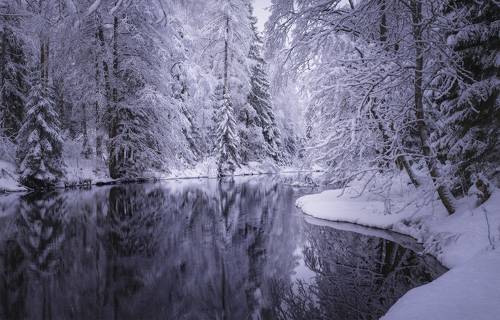 Ещё больше снежных картинок