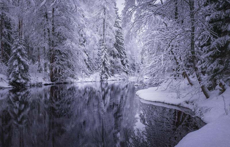 Ленобласть, зима, снег, Рощинка Ещё больше снежных картинок фото превью