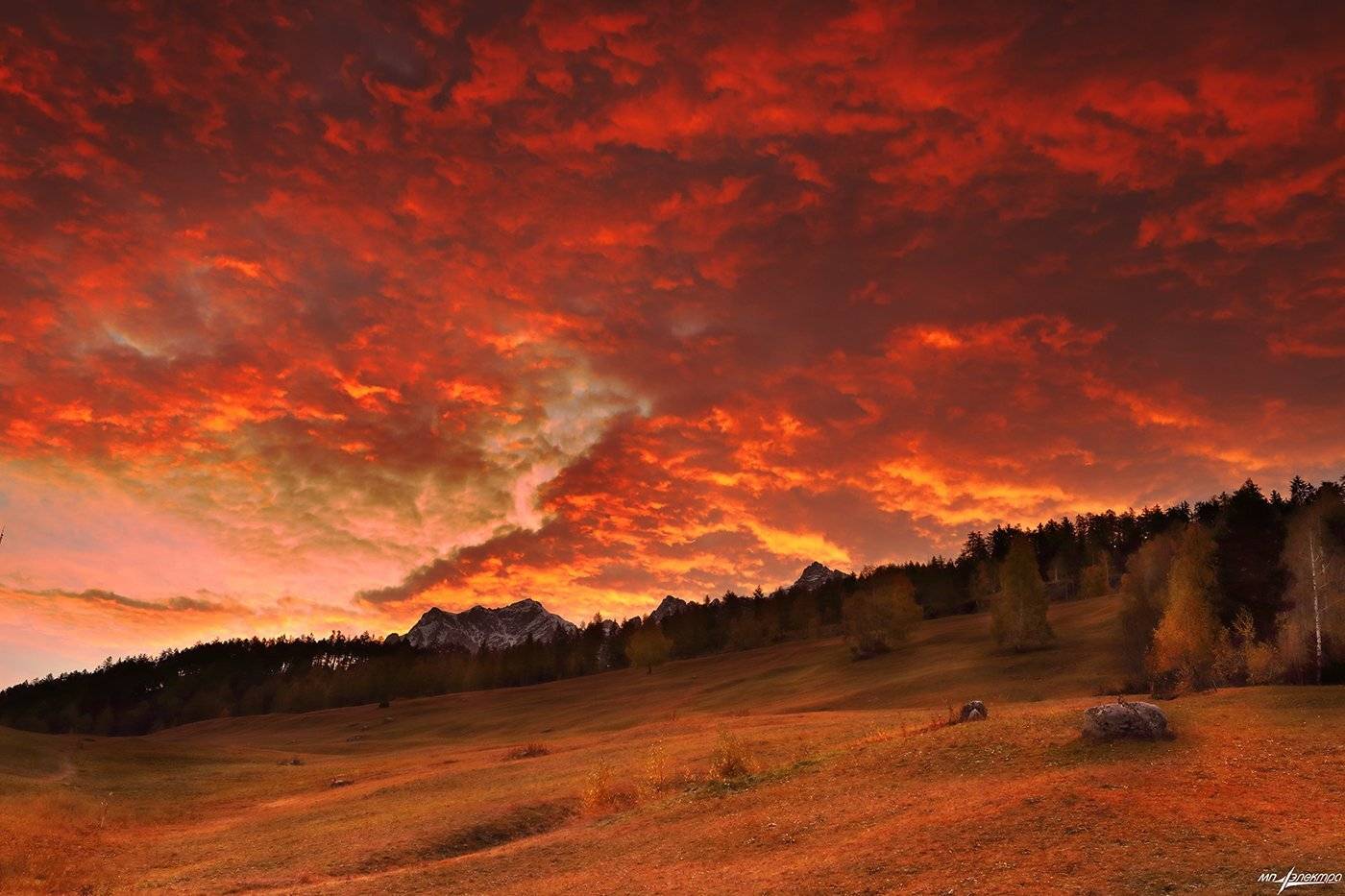 swiss, Матвеев Николай