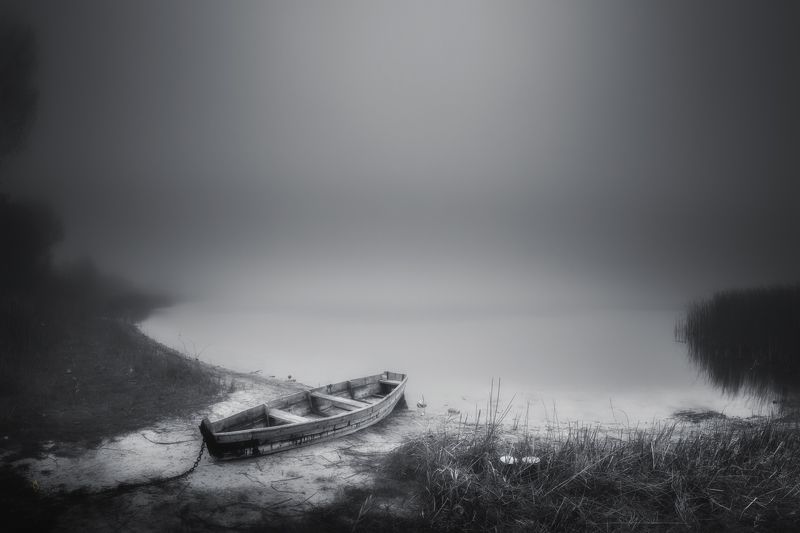 Limbo фото превью