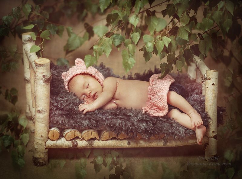 В тени березки фото превью